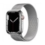 Смарт-часы Apple Watch Series 7 GPS + Cellular 41mm Silver Stainless Steel Case with Silver Milanese Loop (MKHX3)